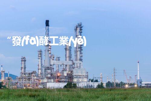 “發(fā)酵工業(yè)廢水處理，綠色創(chuàng)新引領(lǐng)環(huán)保新篇章”
